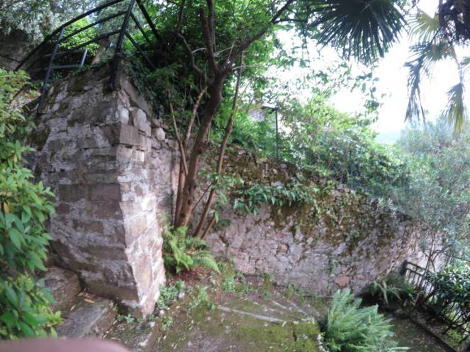 IMG_0516 (FILEminimizer)