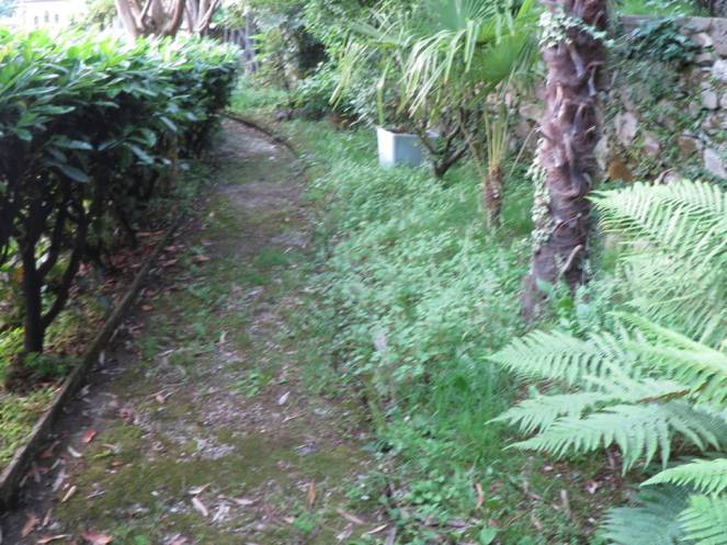 IMG_0518 (FILEminimizer)