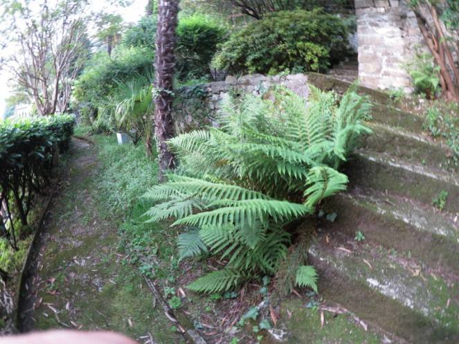 IMG_0519 (FILEminimizer)