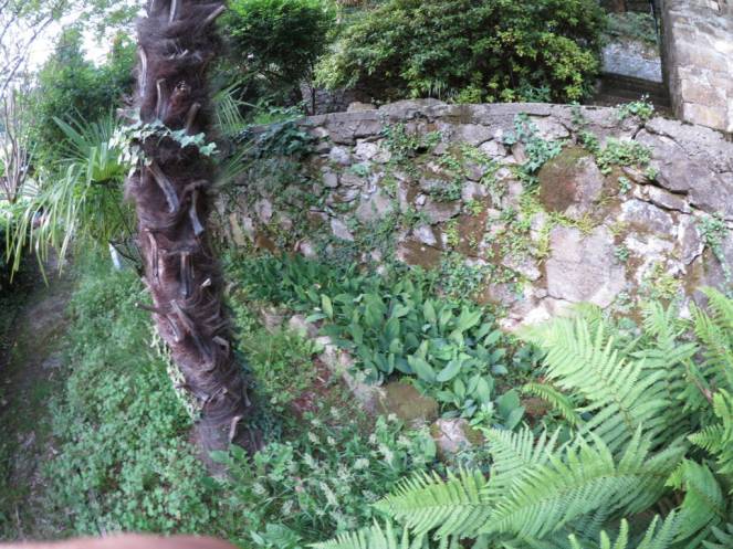 IMG_0520 (FILEminimizer)