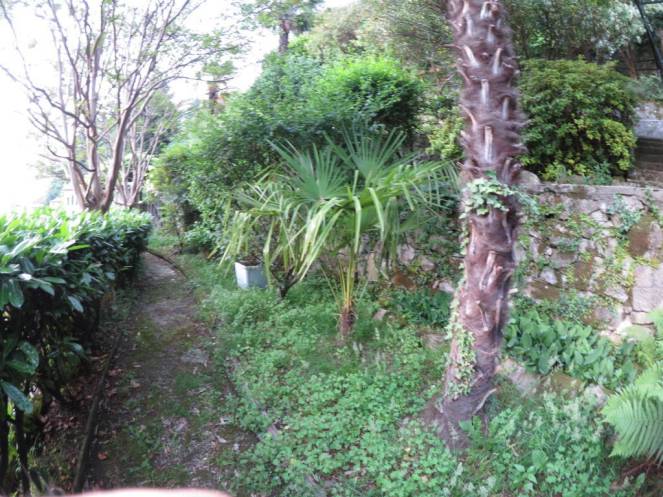 IMG_0521 (FILEminimizer)