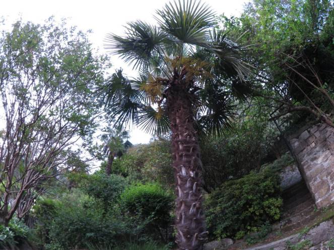 IMG_0523 (FILEminimizer)