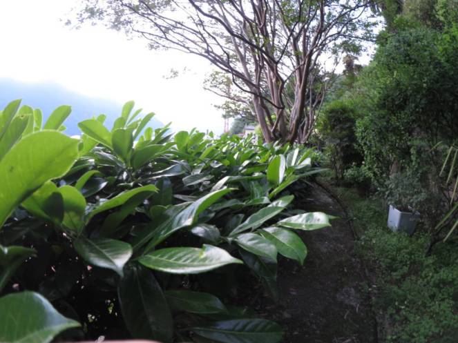 IMG_0524 (FILEminimizer)