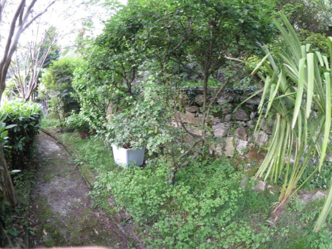 IMG_0525 (FILEminimizer)