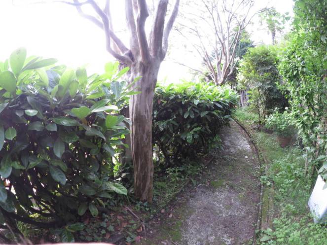 IMG_0526 (FILEminimizer)