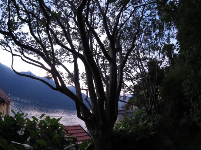 IMG_0527 (FILEminimizer)