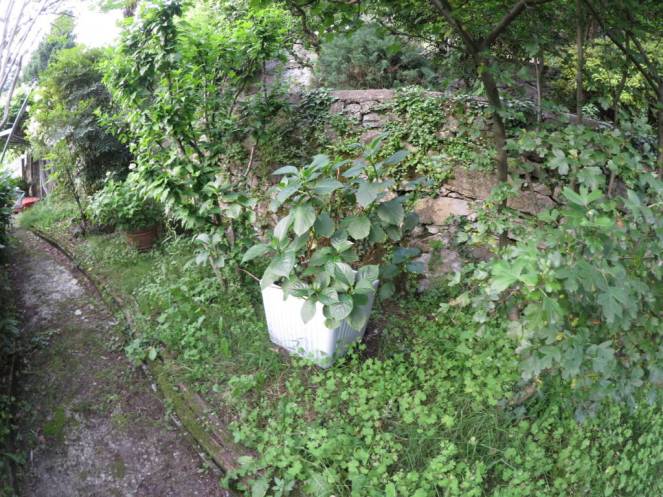 IMG_0528 (FILEminimizer)