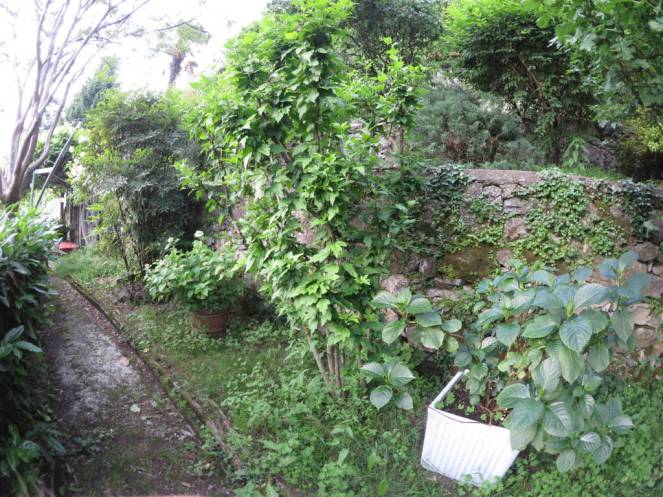 IMG_0529 (FILEminimizer)