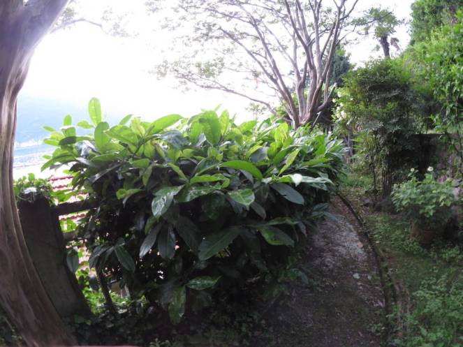 IMG_0530 (FILEminimizer)