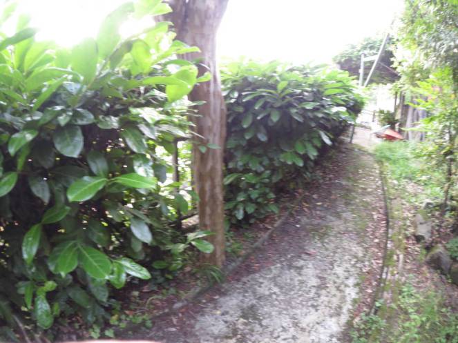 IMG_0533 (FILEminimizer)