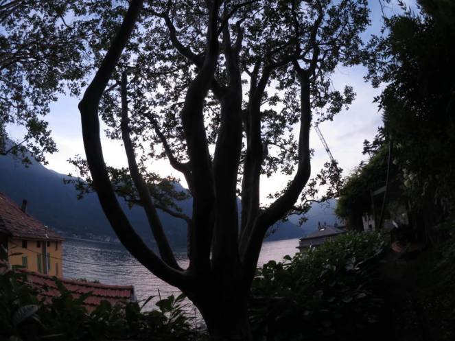 IMG_0534 (FILEminimizer)