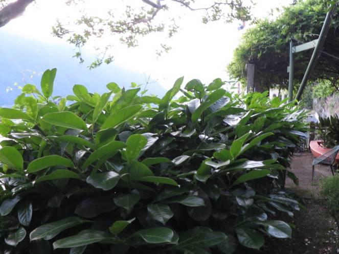 IMG_0537 (FILEminimizer)