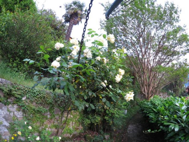 IMG_0542 (FILEminimizer)