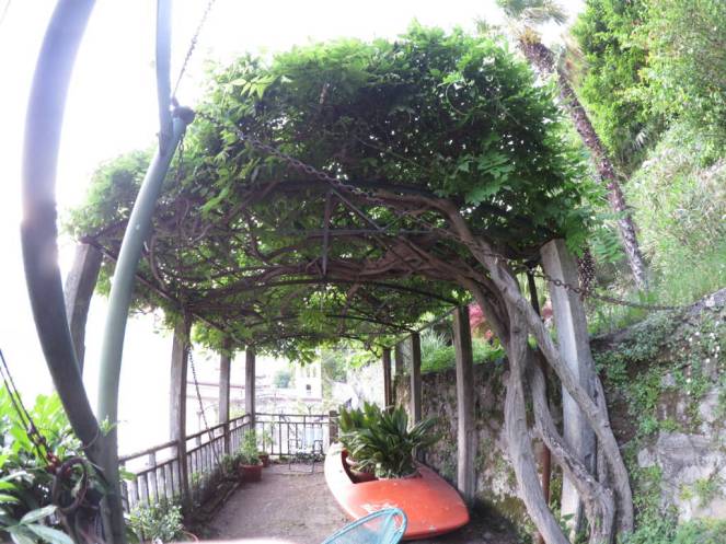 IMG_0544 (FILEminimizer)