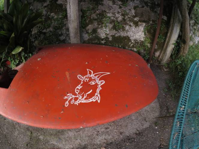 IMG_0548 (FILEminimizer)