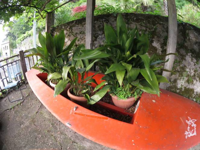 IMG_0550 (FILEminimizer)