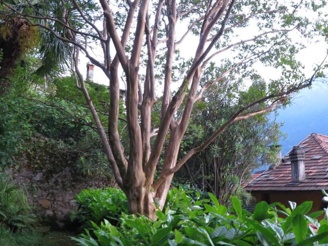 IMG_0554 (FILEminimizer)