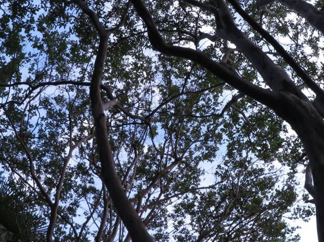 IMG_0556 (FILEminimizer)