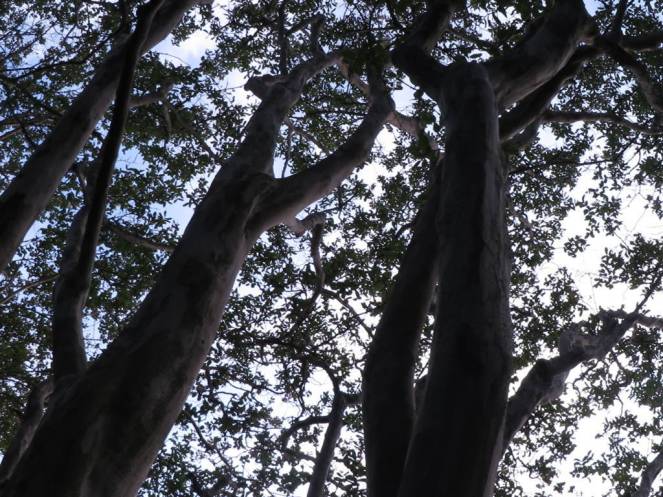 IMG_0557 (FILEminimizer)