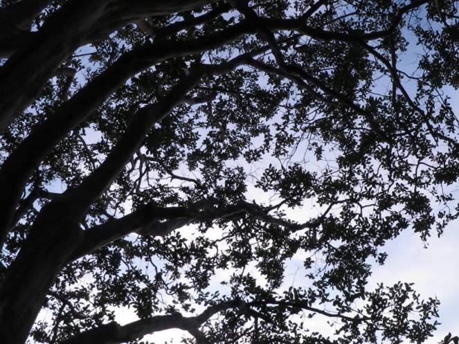 IMG_0558 (FILEminimizer)