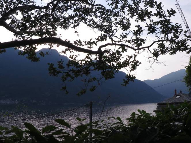 IMG_0559 (FILEminimizer)