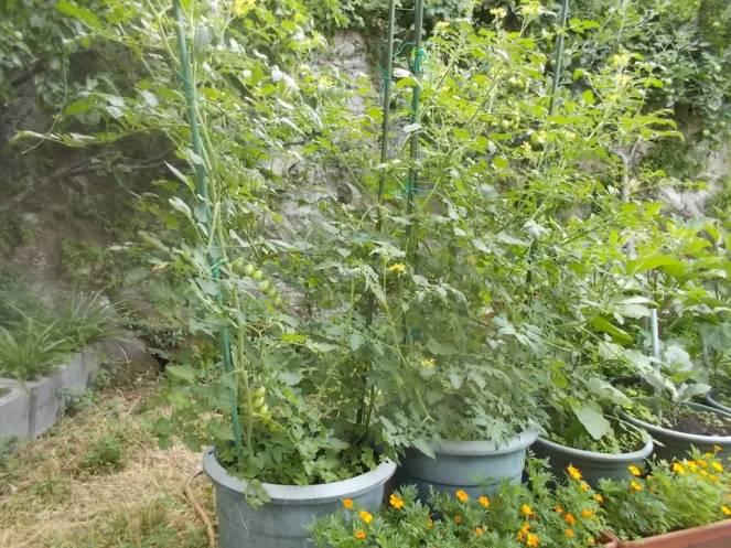 DSCN6158 (FILEminimizer)