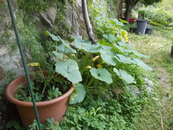 DSCN6164 (FILEminimizer)