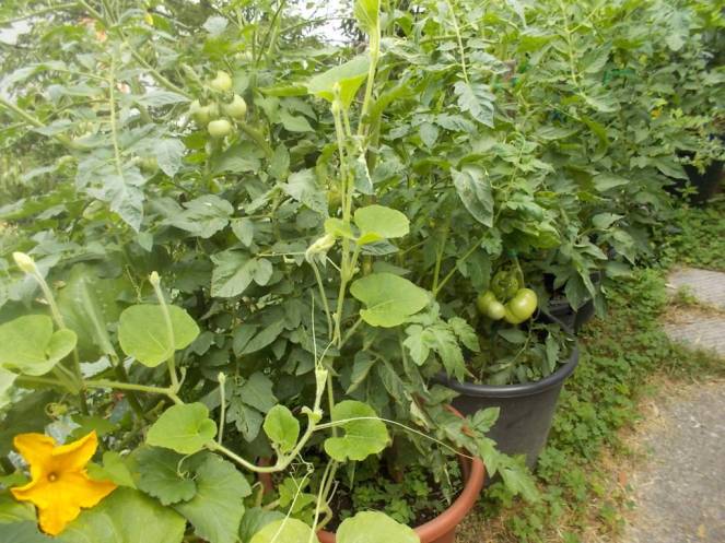 DSCN6170 (FILEminimizer)