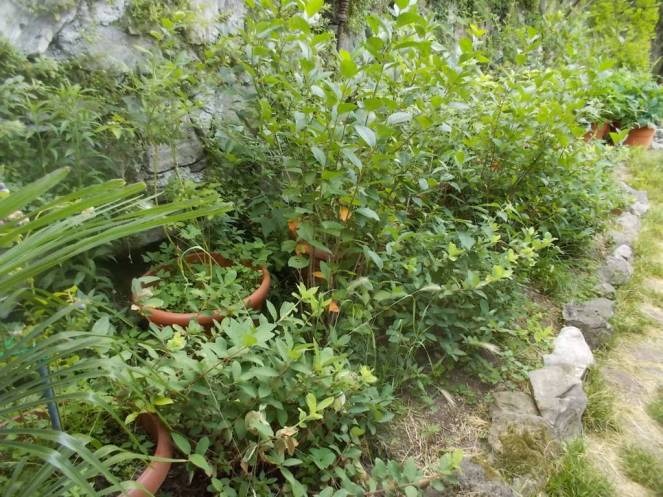 DSCN6172 (FILEminimizer)