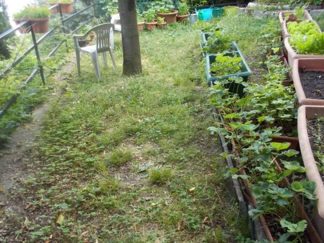 DSCN6188 (FILEminimizer)