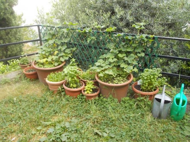 DSCN6195 (FILEminimizer)