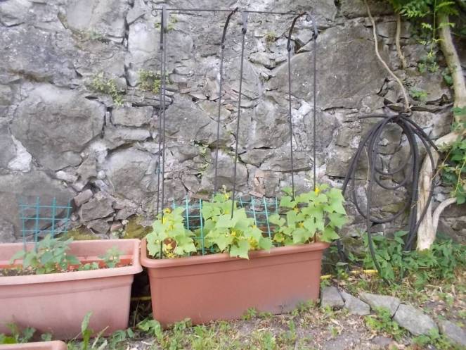 DSCN6198 (FILEminimizer)