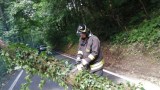 Maltempo e danni: allagamenti, alberi caduti, treni fermi a San Giovanni. Da stanotte più di cento interventi dei vigili del fuoco