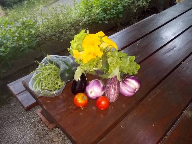 DSCN6213 (FILEminimizer)