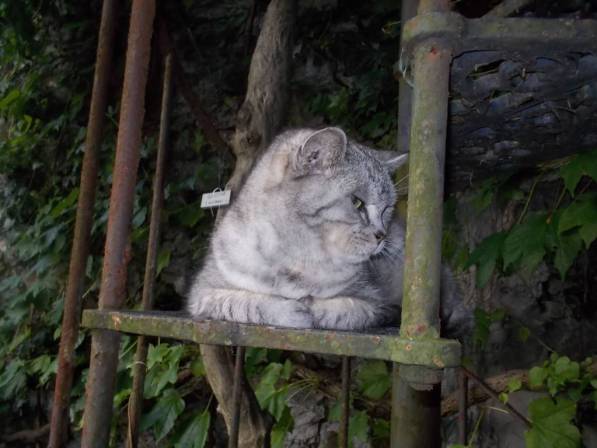 DSCN6263 (FILEminimizer)