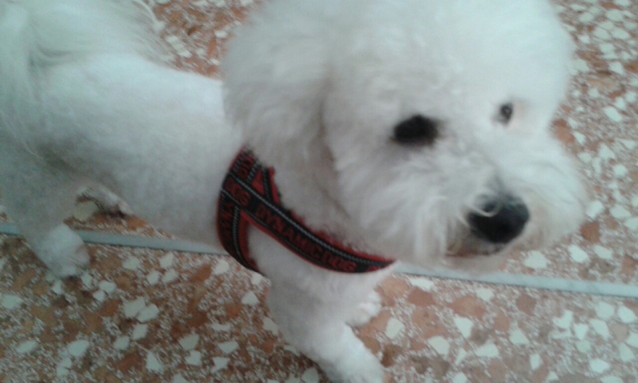 20170826_165704_resized_1