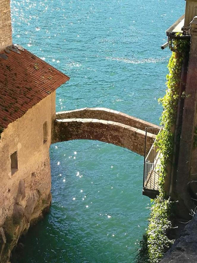 20839147_1420831827999352_201676568_n