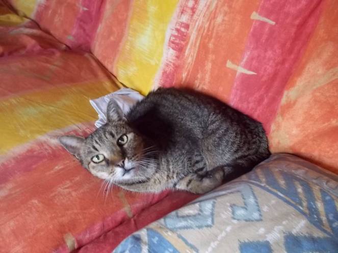 DSCN6513 (FILEminimizer)