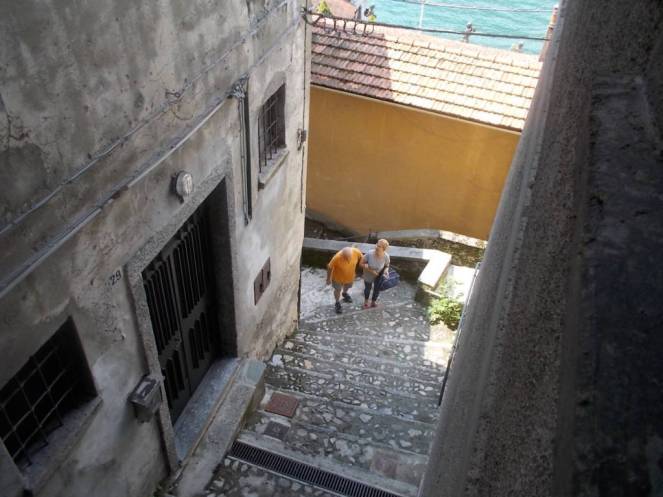 DSCN6514 (FILEminimizer)