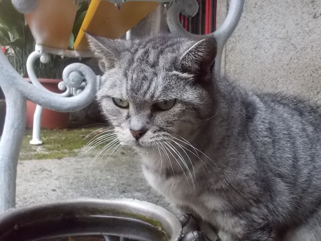 DSCN6560 (FILEminimizer)