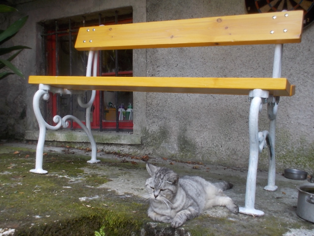 DSCN6564 (FILEminimizer)