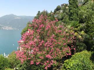 IMG_0673 (FILEminimizer)