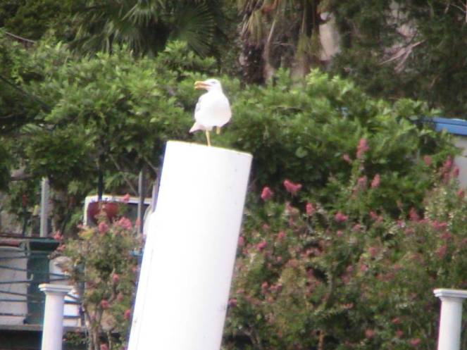 IMG_8348 (FILEminimizer)