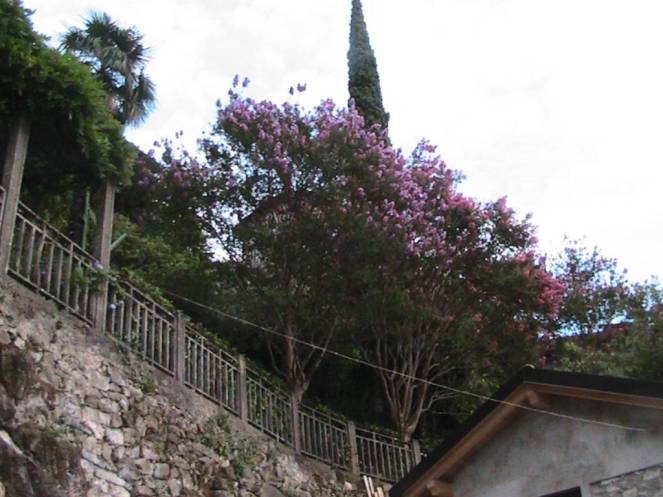 IMG_8349 (FILEminimizer)