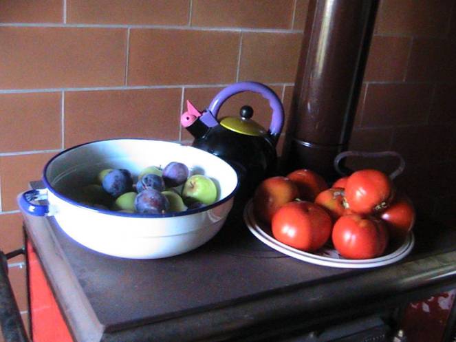 IMG_8350 (FILEminimizer)