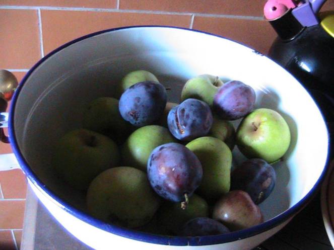 IMG_8351 (FILEminimizer)