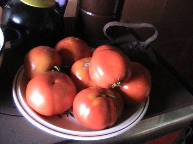 IMG_8352 (FILEminimizer)