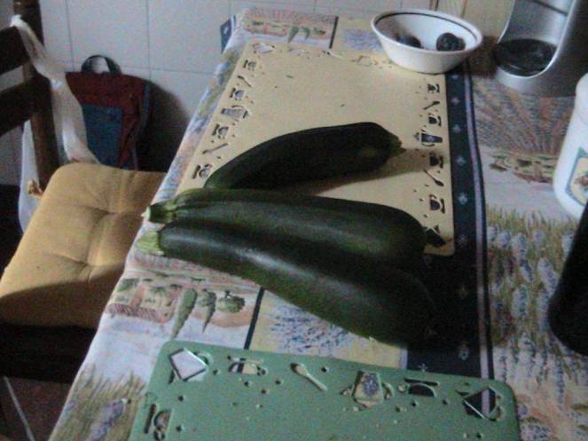 IMG_8353 (FILEminimizer)