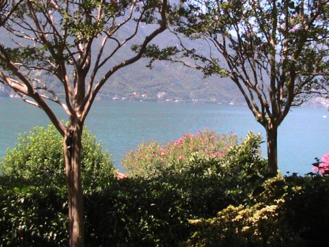 IMG_8355 (FILEminimizer)