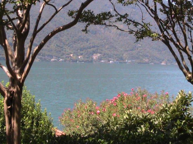 IMG_8356 (FILEminimizer)